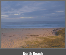 North Beach - Absolute Beachfront Real Estate