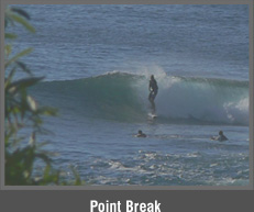 Point Break - Absolute Beachfront Property For Sale
